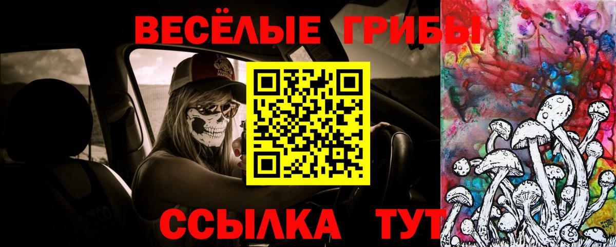 Галлюциногенные грибы мухоморы  Вход с VPN  Псилоцибиновые грибы мухоморы  купить наркотики цена  Кинель 